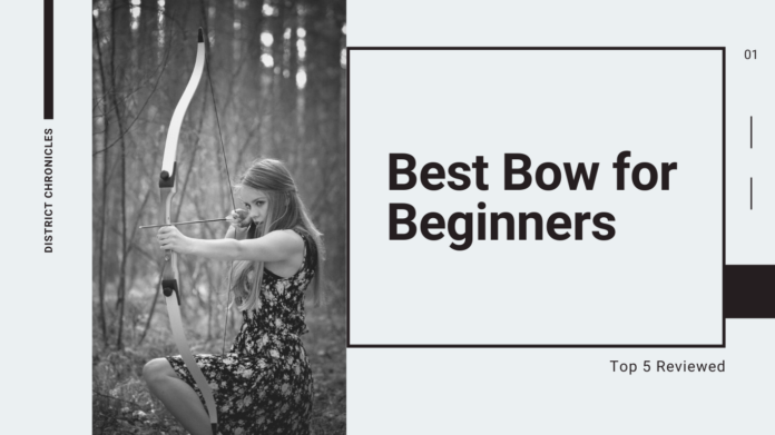 Best Bow For Beginners