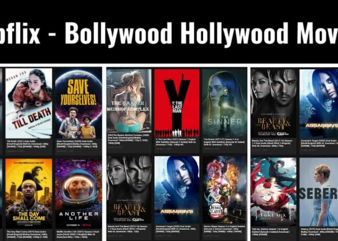 Hubflix Website 2023 : Hindi New HD Movies Watch Online